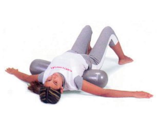 26500 Fitball Roller Fysiomed
