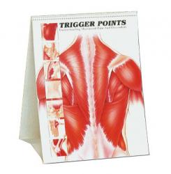 trigger points book