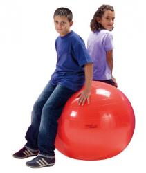 21402 - Bobath Ball Ø 85 cm